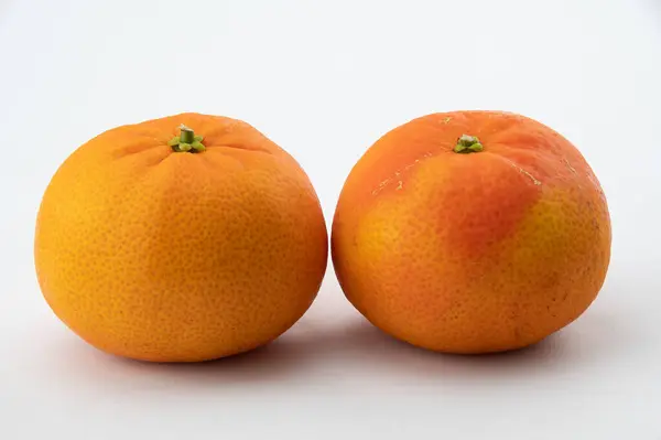 Two Fresh Clementine Citrus Fruits — Stock Photo, Image