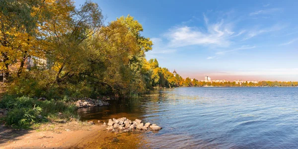 基辅第聂伯河附近的柳树和芦苇 — 图库照片