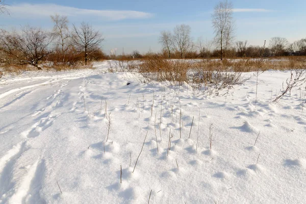 Lowland Covered Snow Winter Season — Stock Photo, Image