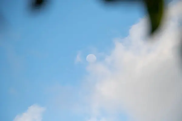 Луна Пальма — стоковое фото
