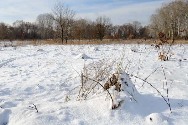 Piękny Zimowy Krajobraz Tło Natury — Zdjęcie stockowe