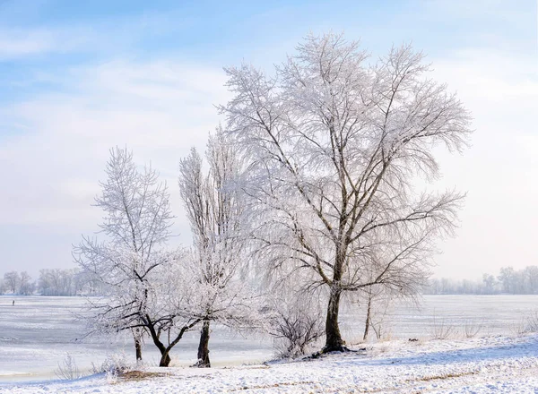 美丽的冬季风景 自然背景 — 图库照片