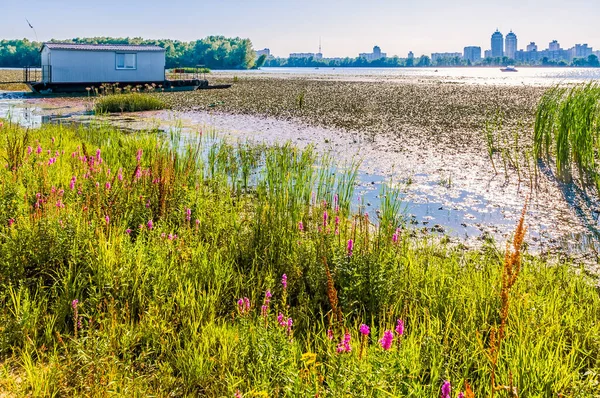 Malerische Aufnahme Der Schönen Landschaft Des Flusses Dnipro Kiew — Stockfoto