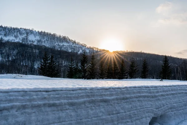Vinterlandskap Fjällskog Täckt Med Snö Vid Sunri — Stockfoto