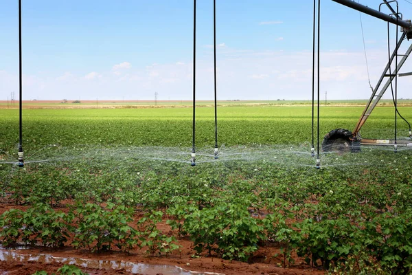 Sistema Irrigazione Vicino — Foto Stock