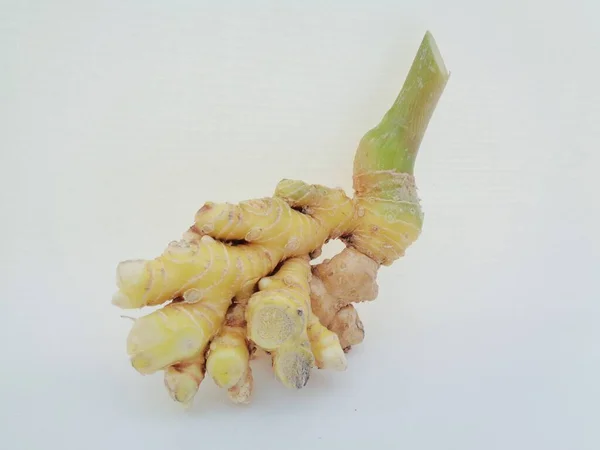 Bitter Ginger Root Close View — Stock Photo, Image