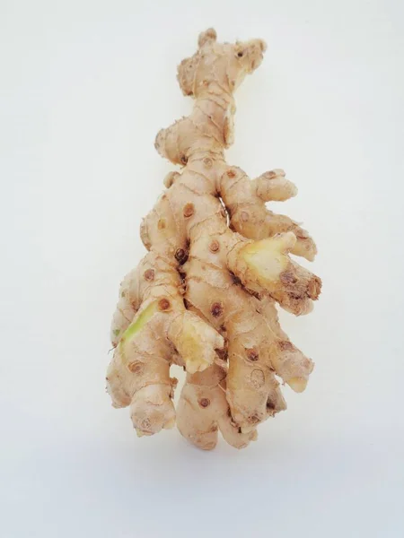 Bitter Ginger Root Close View — Stock Photo, Image