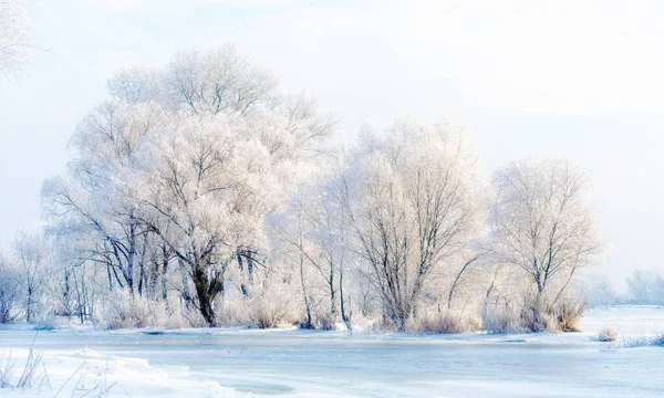 ドニプロ川の氷結した水 ストック画像