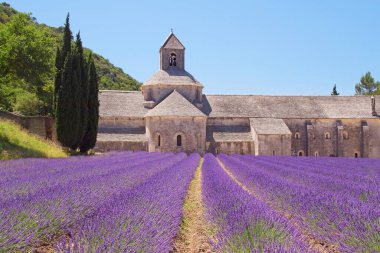 Snanque Abbey (Provence, Fransa)