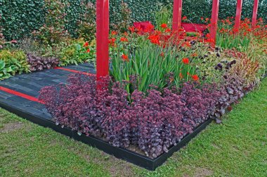 Güzel çiçeklerin güzel manzarasını kapat.