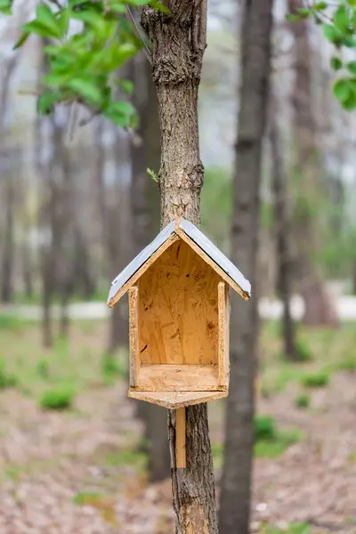 Vogelhuisje Het Bos — Stockfoto