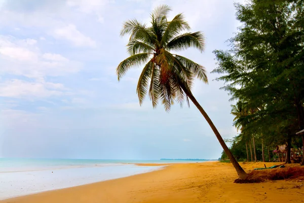 Пейзаж Лето Пляж — стоковое фото
