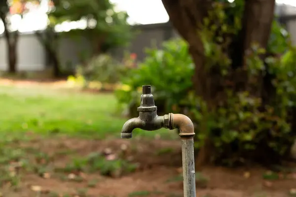 Stock image water tap with green background, close up