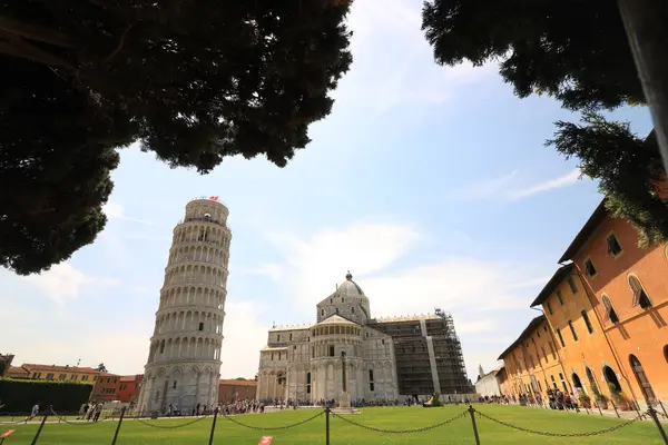 Pisa Nın Piazza Dei Mucizeleri Gezginler Mimariye Hayrandır — Stok fotoğraf