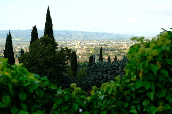 Panorama Assisi Countryside Churches Houses Trees — Stock Photo, Image