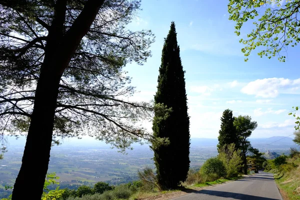 Panorama Assisi Countryside Road — Stock Photo, Image