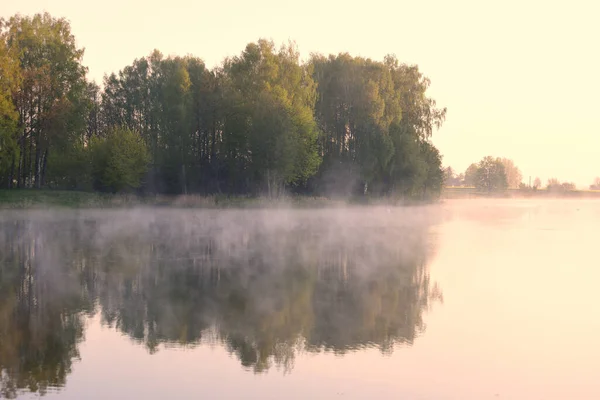 Matin Brumeux Automne Avec Reflet Arbres Dans Lac — Photo