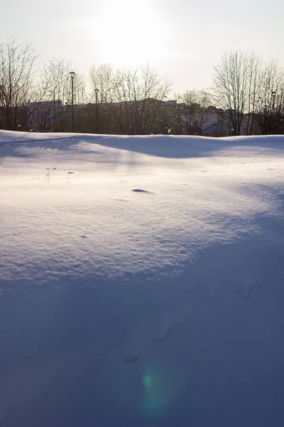 Veel Paden Glade Bedekt Met Sneeuw Paden Sneeuw Besneeuwde Weide — Stockfoto