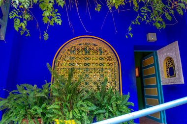 Fas, Marakeş, Yves San Laurent Bahçeleri veya Le Jardin Majorelle, 1 Aralık 2019: İnanılmaz tropikal bahçeler