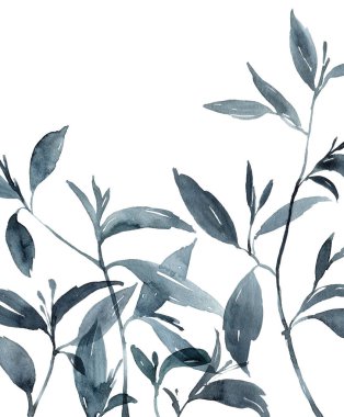 Beyaz arka planda yabani çayır bitkileri