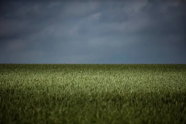 Landscape View Green Field Cloudy Sky — Stock Photo, Image