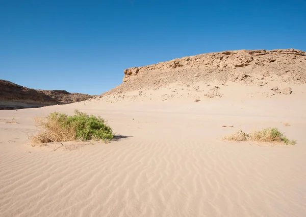 Αμμόλοφους Της Ερήμου Πολύχρωμο Πολυσύχναστο Ταξιδιωτικό Θέμα — Φωτογραφία Αρχείου