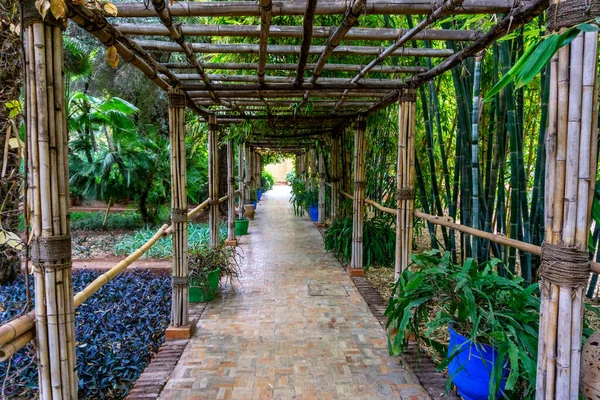 摩洛哥 马拉喀什 圣罗兰花园或Le Jardin Majorelle 2019年12月1日 奇异的热带花园 — 图库照片