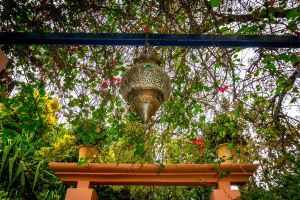 Marokko Marrakesch Yves San Laurent Gardens Oder Jardin Majorelle Dezember — Stockfoto