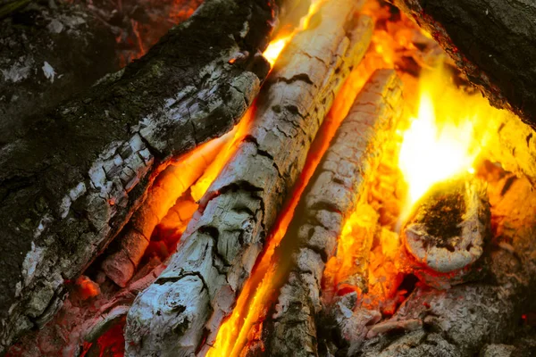 Brandend Brandhout Het Bos Avonds — Stockfoto