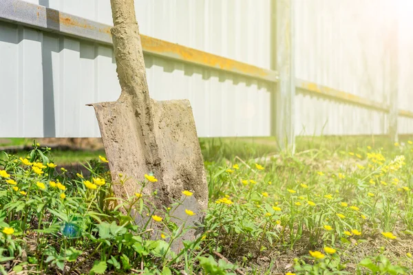 Sebuah Sekop Kotor Berdiri Dekat Pagar Rumput Taman Pada Hari — Stok Foto