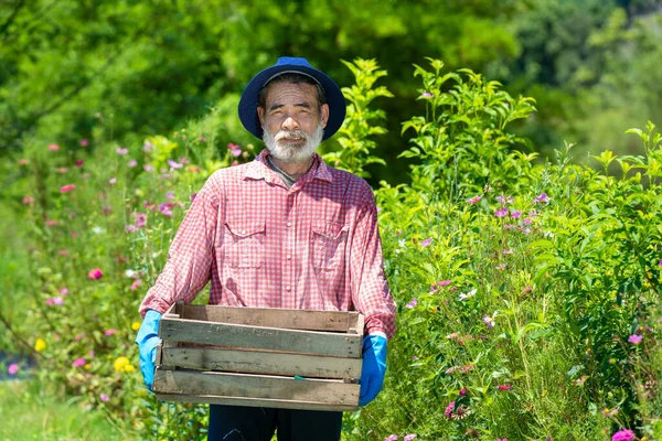 Homme Âgé Heureux Actif Travaillant Dans Jardin — Photo