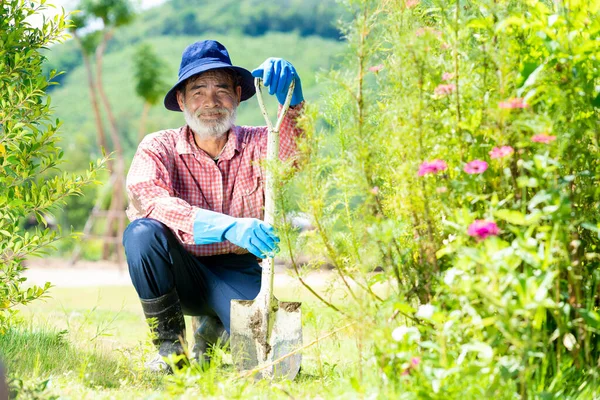 活跃快乐的老年人在花园里干活 — 图库照片