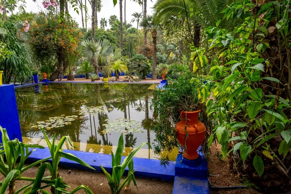 Morocco Marrakech Yves San Laurent Gardens Jardin Majorelle Dicembre 2019 — Foto Stock