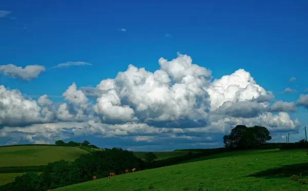 Krásná Krajina Polem Zelené Trávy Modré Oblohy — Stock fotografie