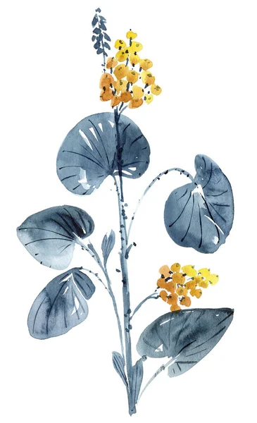 Virágos Akvarell Rét Növény — Stock Fotó