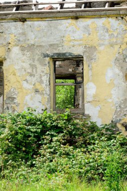 Kırsalda terk edilmiş eski bir kır evi.