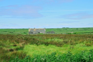 Kırsalda terk edilmiş eski bir kır evi.