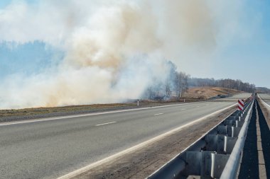 güçlü ateş, alev ve kaldırımlı karayolu yakınında çok duman var, kuru otlar yanıyor.