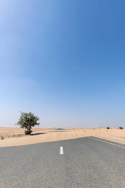 Droga Pustyni — Zdjęcie stockowe