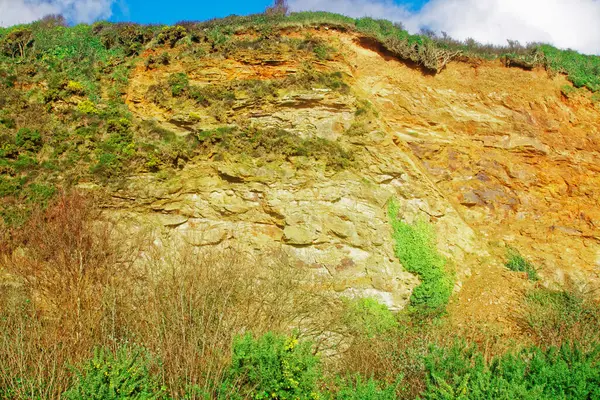 Schöner Geologischer Hintergrund Nahaufnahme — Stockfoto