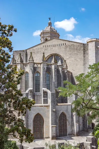 Kathedraal Girona Dichtbij — Stockfoto