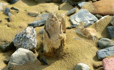 Güzel manzara manzarası. Doğa arkaplanı 