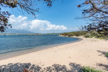 Deniz manzarası çok güzel. Doğa, seyahat arka planı 