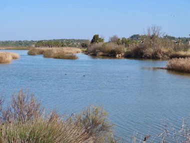 Beautiful lagoon Lagoa dos Salgados near Albufeira in Portugal