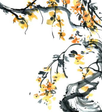 suluboya erik ağacı