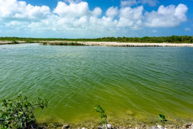 Ambergris Caye 'in manzarası, Karayip Denizi' ndeki en büyük Belize adası.