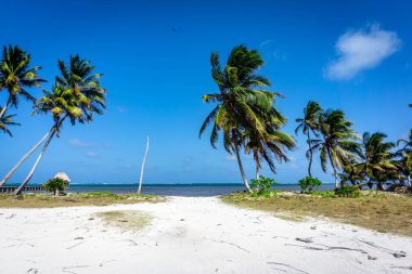 Ambergris Caye 'in manzarası, Karayip Denizi' ndeki en büyük Belize adası.