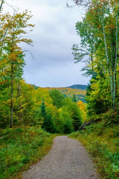 Footpath Fall Foliage Colors Mont Tremblant National Park — Stock Photo, Image