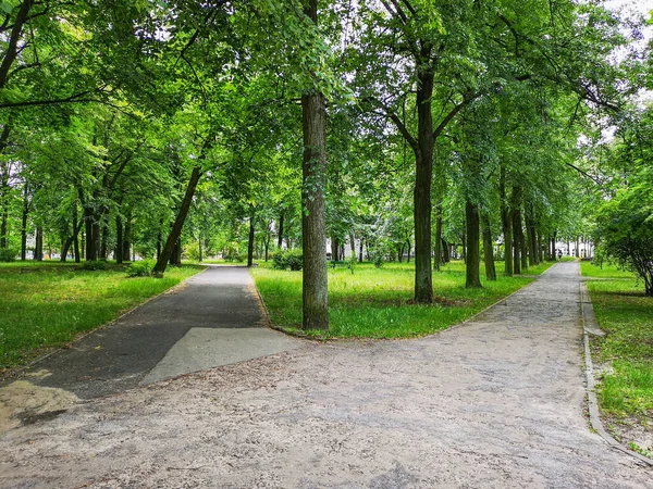 Långa Betongvägar Parken Mellan Lampor Och Träd — Stockfoto