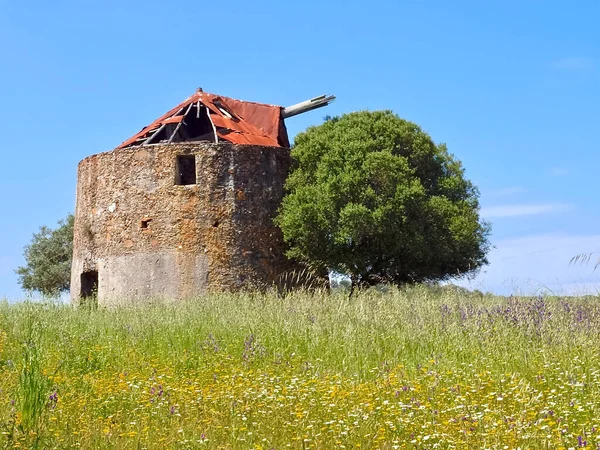 Old Mill Στην Όμορφη Φύση Alentejo Της Πορτογαλίας — Φωτογραφία Αρχείου